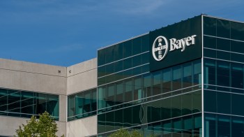 A close-up view of a modern building with a Bayer logo against a clear blue sky.