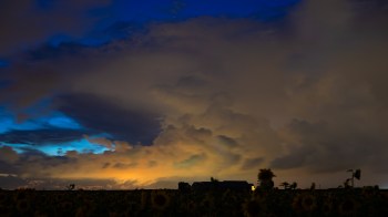 A field of sunflowers silhouetted against dramatic clouds and a colorful sky at dusk.