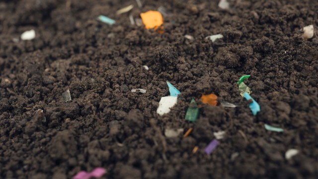 Soil mixed with small pieces of colorful plastic waste, highlighting environmental pollution.