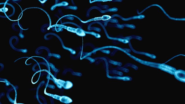 Digitally sperm cells swimming against a dark background.