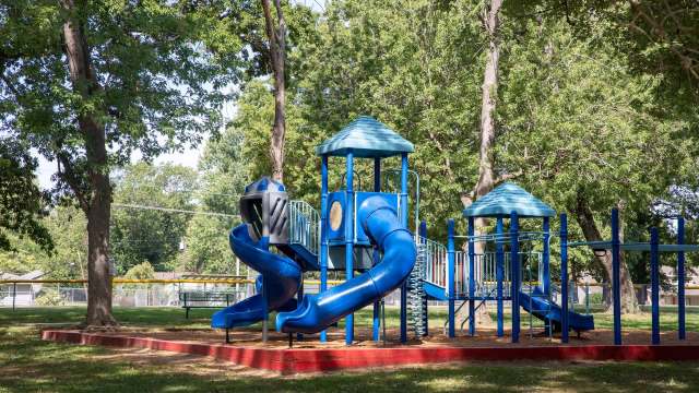 A colorful blue playground structure with slides and towers surrounded by trees in a park.