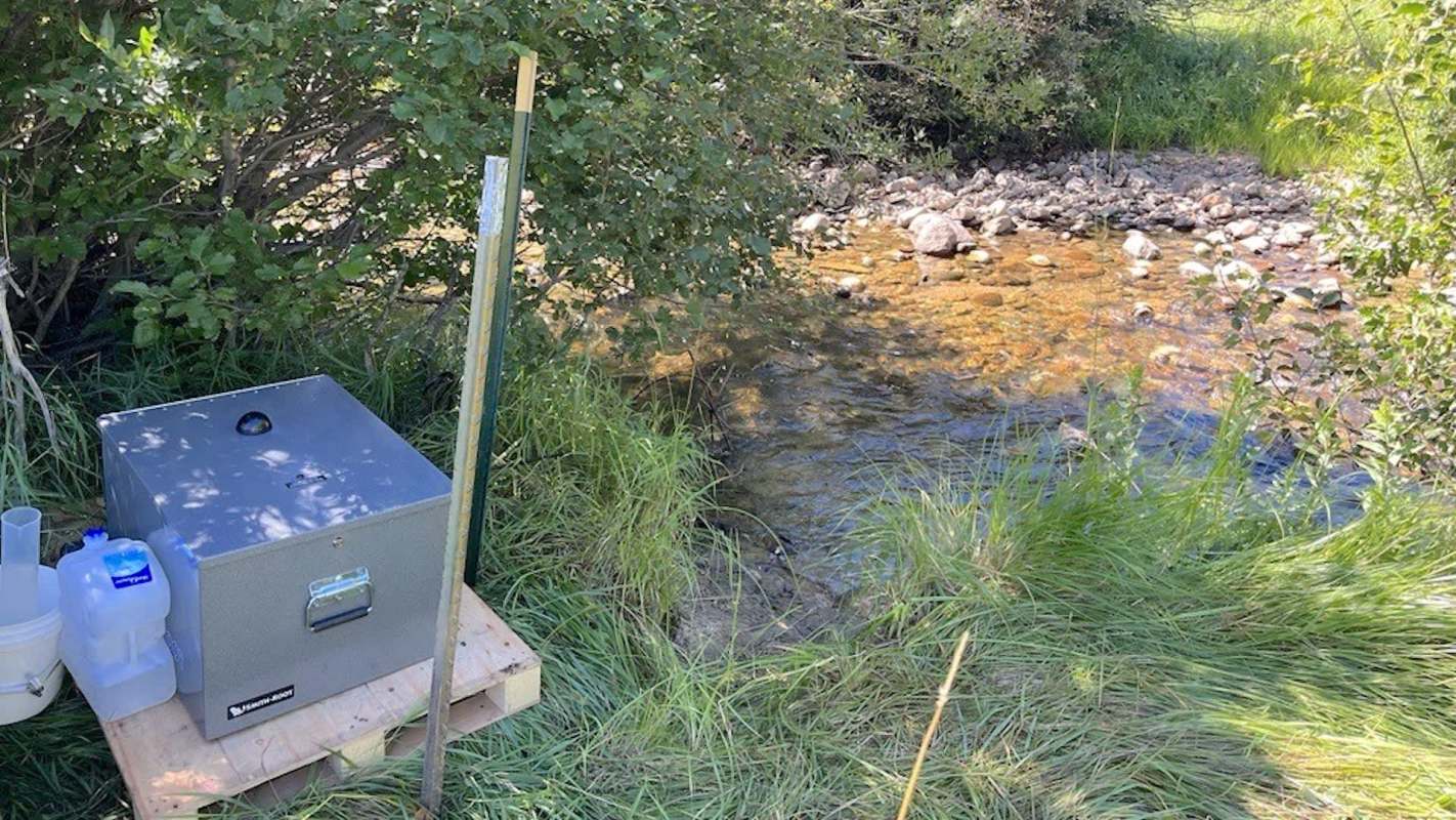 A metal cooler and water containers are placed near a stream surrounded by lush greenery.