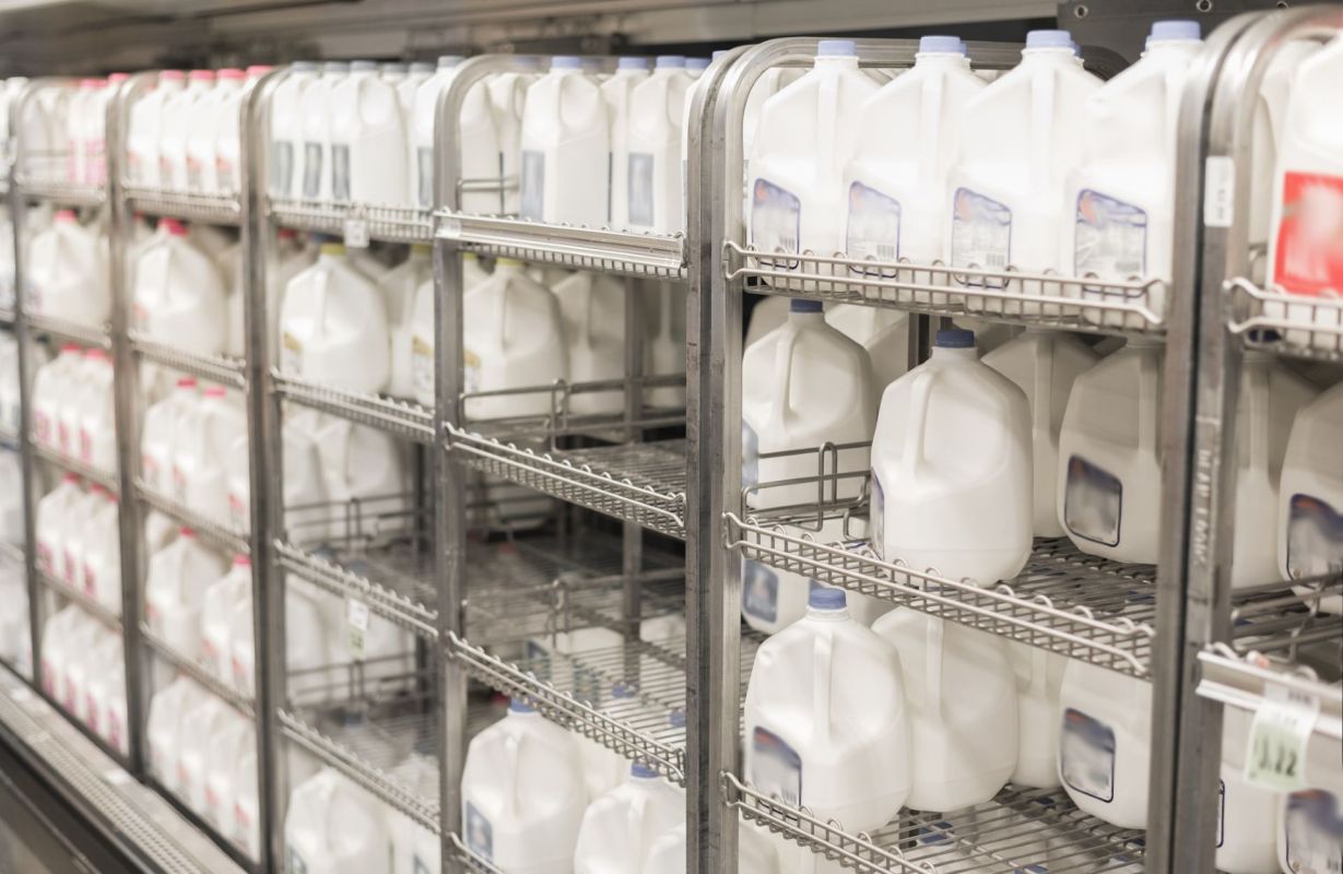 Gallons of milk on grocery store shelves.