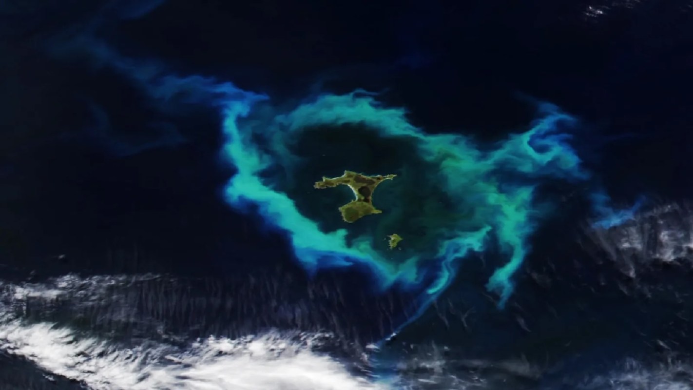 An aerial view of an aqua green ring around a blue island in dark ocean waters.