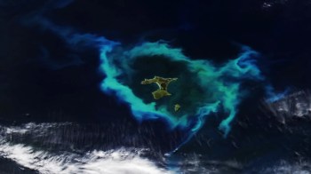 An aerial view of an aqua green ring around a blue island in dark ocean waters.