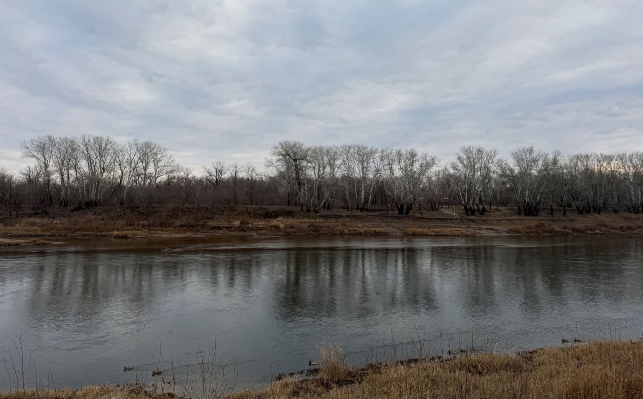A calm river reflects bare trees and a cloudy sky along a serene landscape.