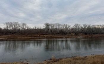 A calm river reflects bare trees and a cloudy sky along a serene landscape.