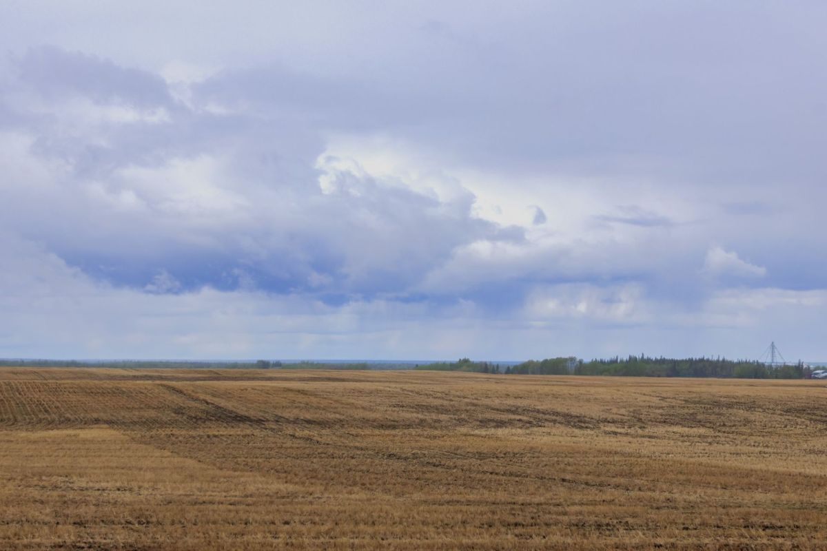 A vast, brown field under a cloudy sky with distant trees and a power line on the horizon.