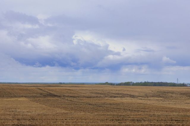 A vast, brown field under a cloudy sky with distant trees and a power line on the horizon.