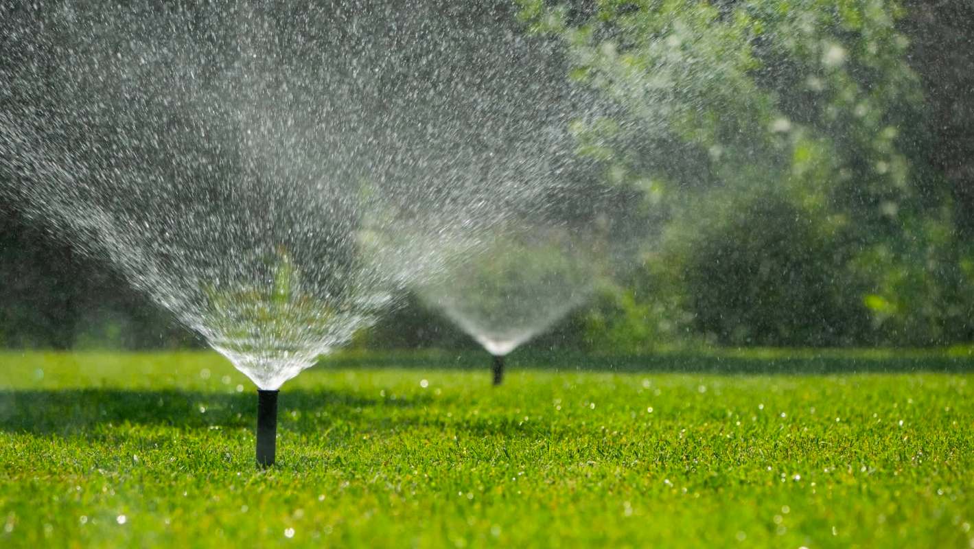 Sprinklers spraying water over a lush green lawn on a sunny day.