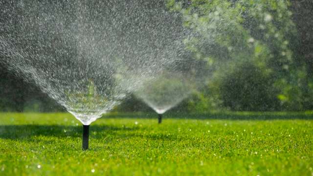Sprinklers spraying water over a green lawn on a sunny day.