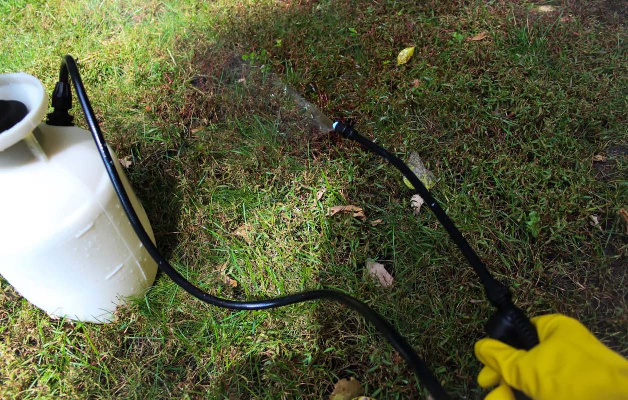 A person holds a hose spraying herbicide on grass.