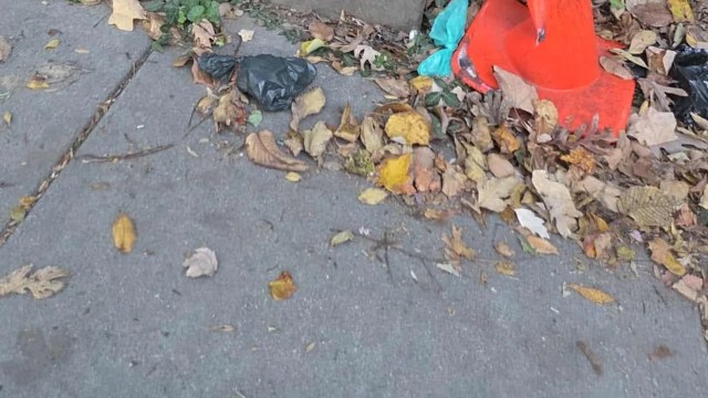 A concrete sidewalk covered with fallen leaves, littered with plastic bags and an orange traffic cone.
