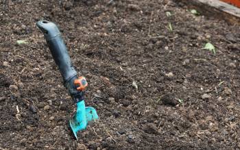 A small blue gardening trowel is stuck in dark, loose soil in a garden bed.
