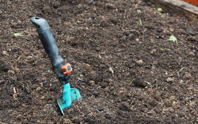A small blue gardening trowel is stuck in dark, loose soil in a garden bed.