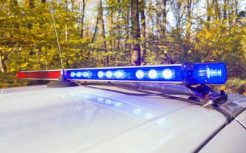 Blue and red lights on a police car in front of trees.