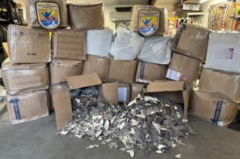 A stack of cardboard boxes with the U.S. Fish and Wildlife Service emblem, alongside a pile of discarded shark fins.