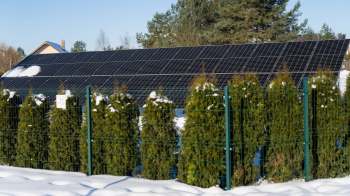 A solar panel array installed on a roof, surrounded by snow-covered bushes and a clear blue sky.