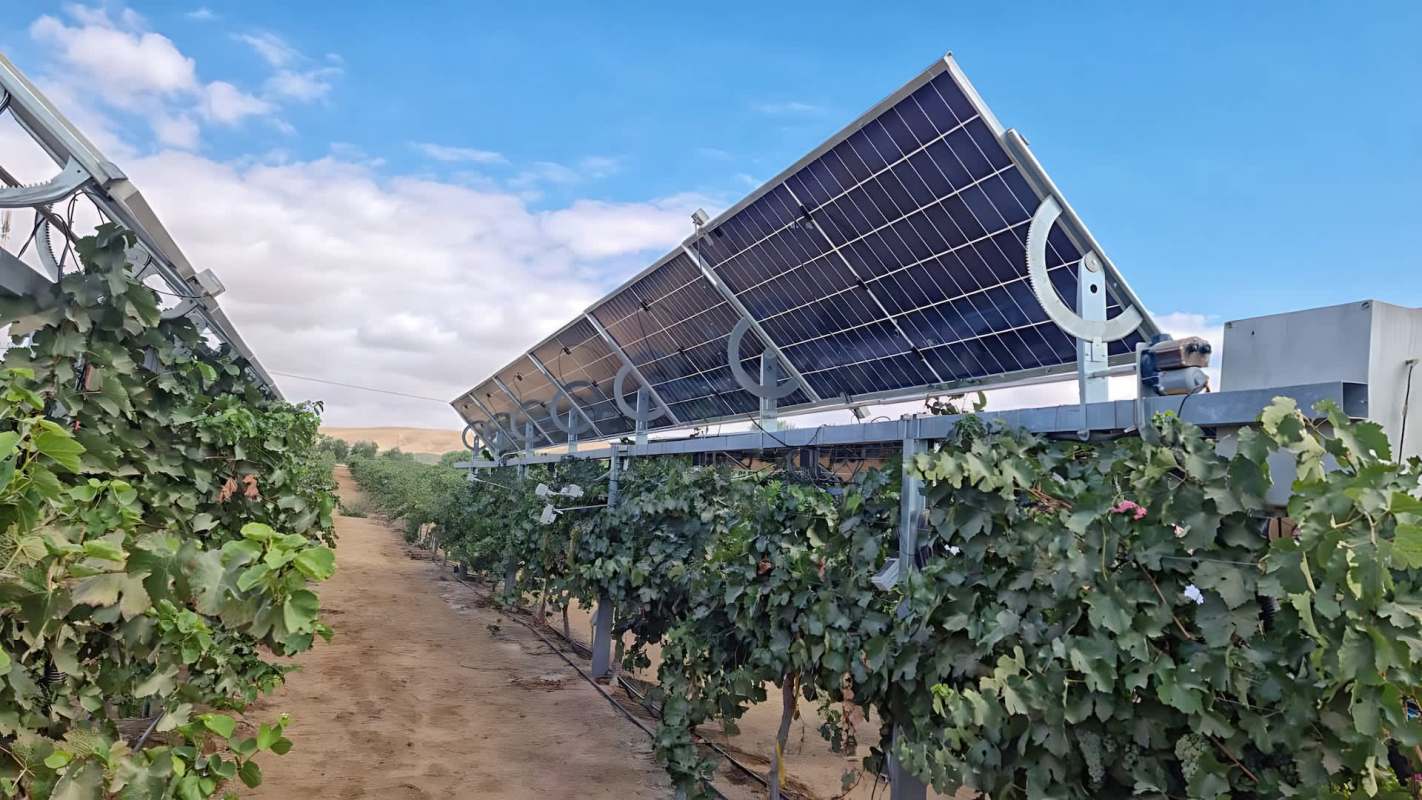Solar panels are installed above rows of grapevines in a vineyard under a partly cloudy sky.