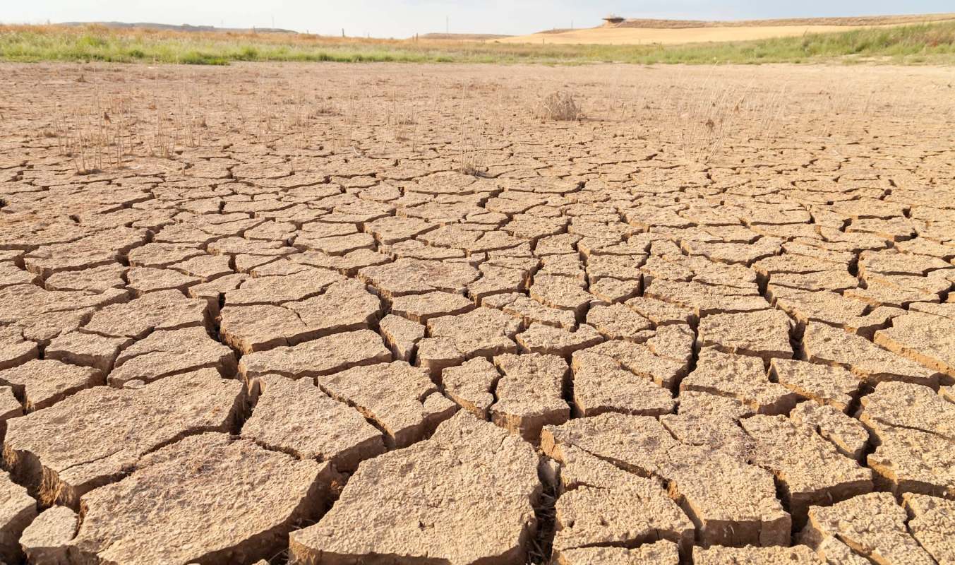 A barren, cracked earth landscape with sparse grass and dry soil visible.