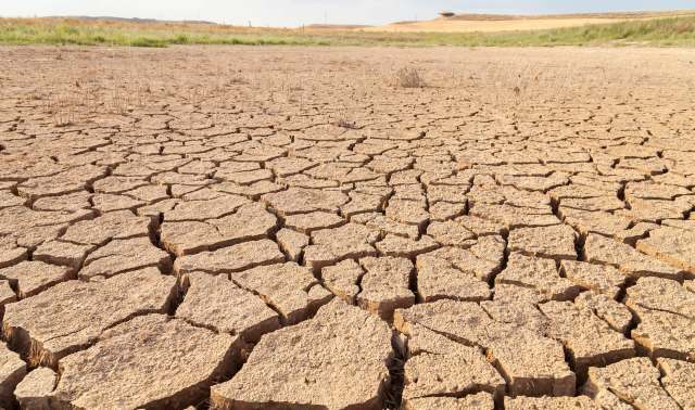 A barren, cracked earth landscape with sparse grass and dry soil visible.