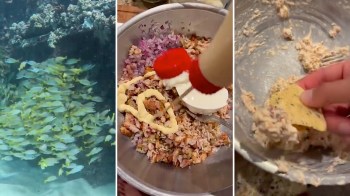 A collage featuring vibrant fish swimming in coral, a bowl of mixed ingredients, and a hand scooping filling onto a chip.