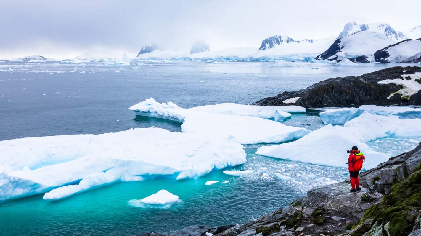A person in a bright red jacket stands on rocky Antarctic terrain, observing icebergs in a tranquil, icy sea.