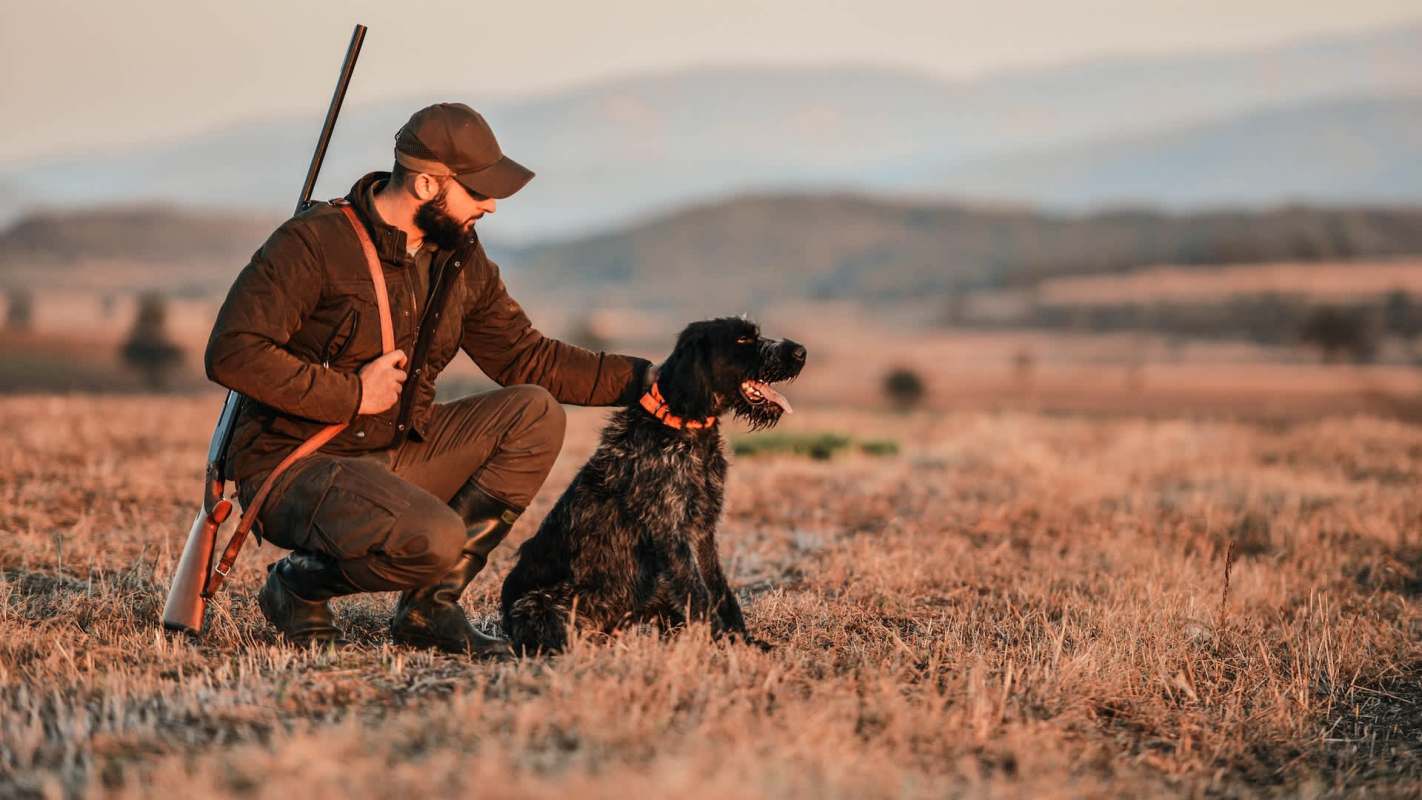A hunter kneels beside his dog in a sunlit field, holding a rifle.
