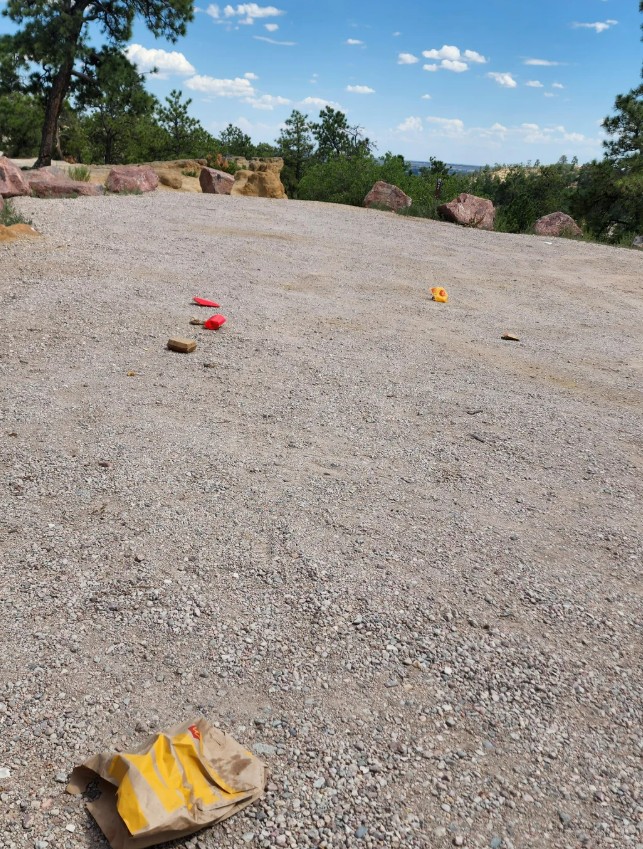 There is trash, including a McDonald's brown-and-yellow bag, on the gravel, with trees and blue sky in the background.