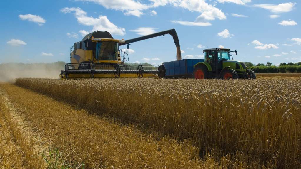 A thresher harvesting wheat on a farm with blue sky and clouds above.