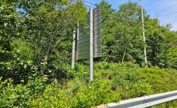 A large blank metal sign is partially obscured by dense greenery along a roadside.