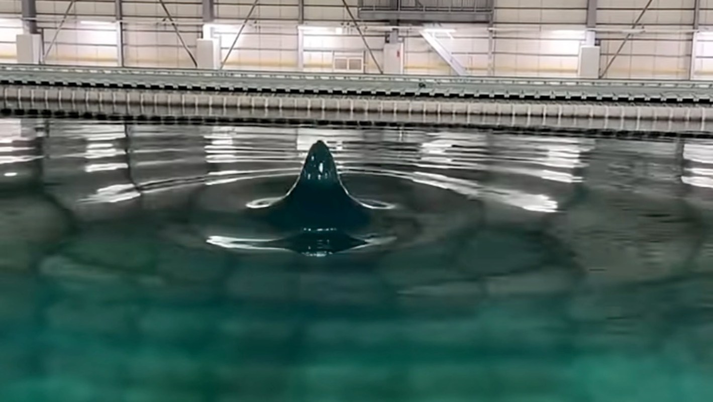 An artificial wave rises above the surface of calm water in an indoor aquatic facility.