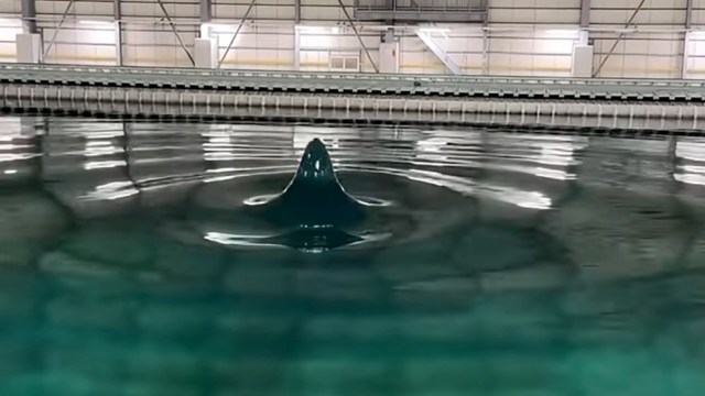 An artificial wave rises above the surface of calm water in an indoor aquatic facility.
