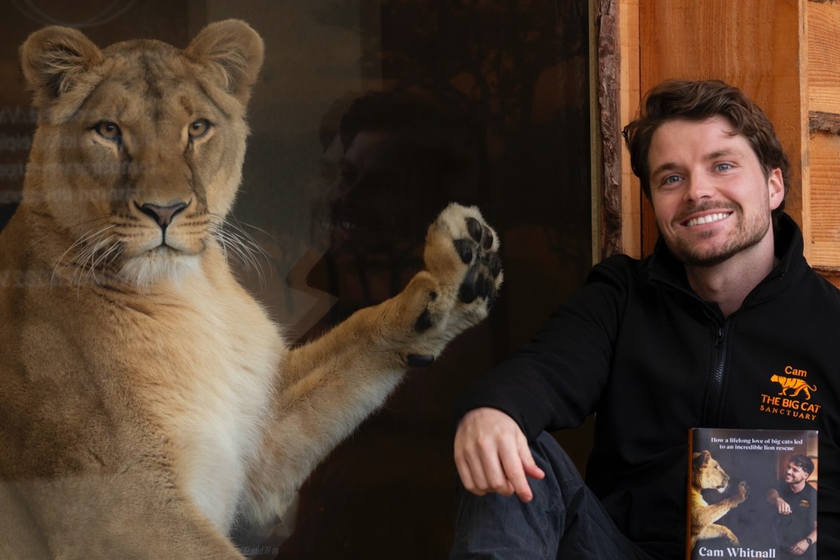 A lioness and a smiling man sit side by side. The man holds a book about big cats.