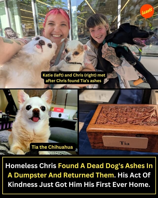 Two smiling people pose for a selfie with three small dogs outside a store on a sunny day.