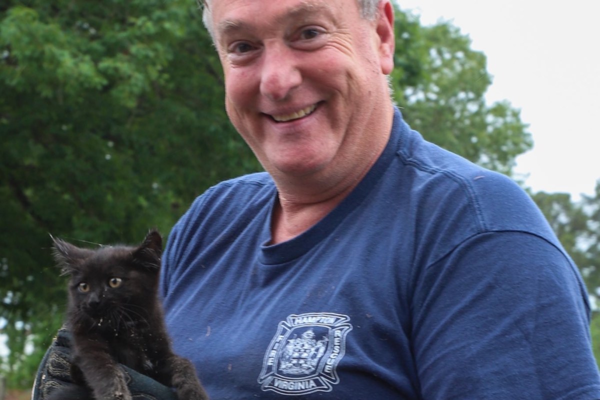 A smiling man in a blue shirt holds a small black kitten against a backdrop of trees.