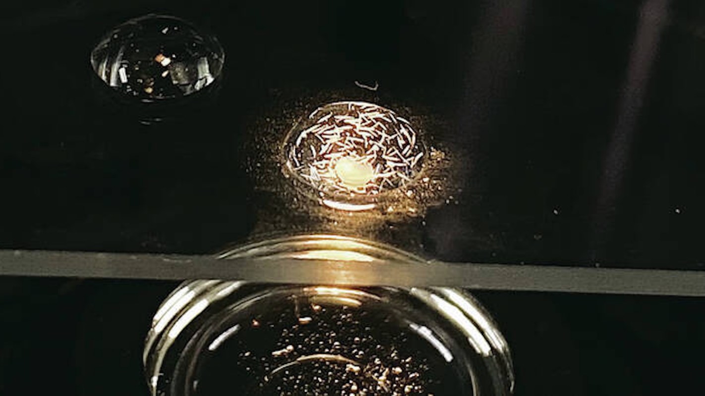 Two droplets on a dark surface, reflecting light.