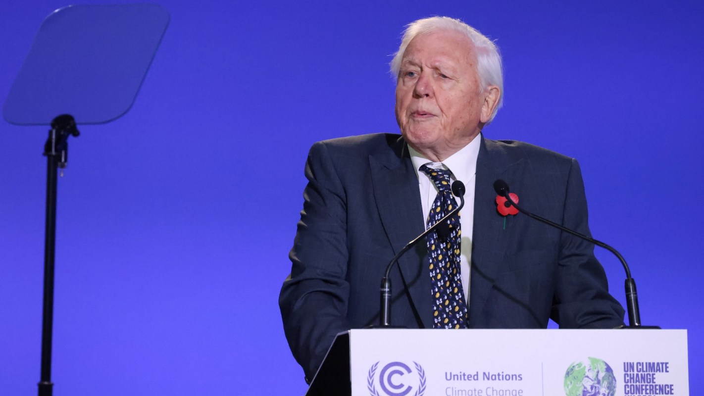 David Attenborough, in a suit, speaks at a podium during a climate change conference, with a blue backdrop.