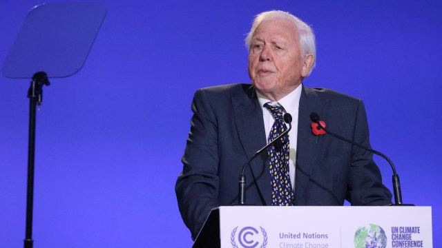 David Attenborough, in a suit, speaks at a podium during a climate change conference, with a blue backdrop.