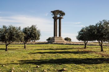 A sculpture featuring two columns topped with a tree, surrounded by olive trees in a grassy landscape.