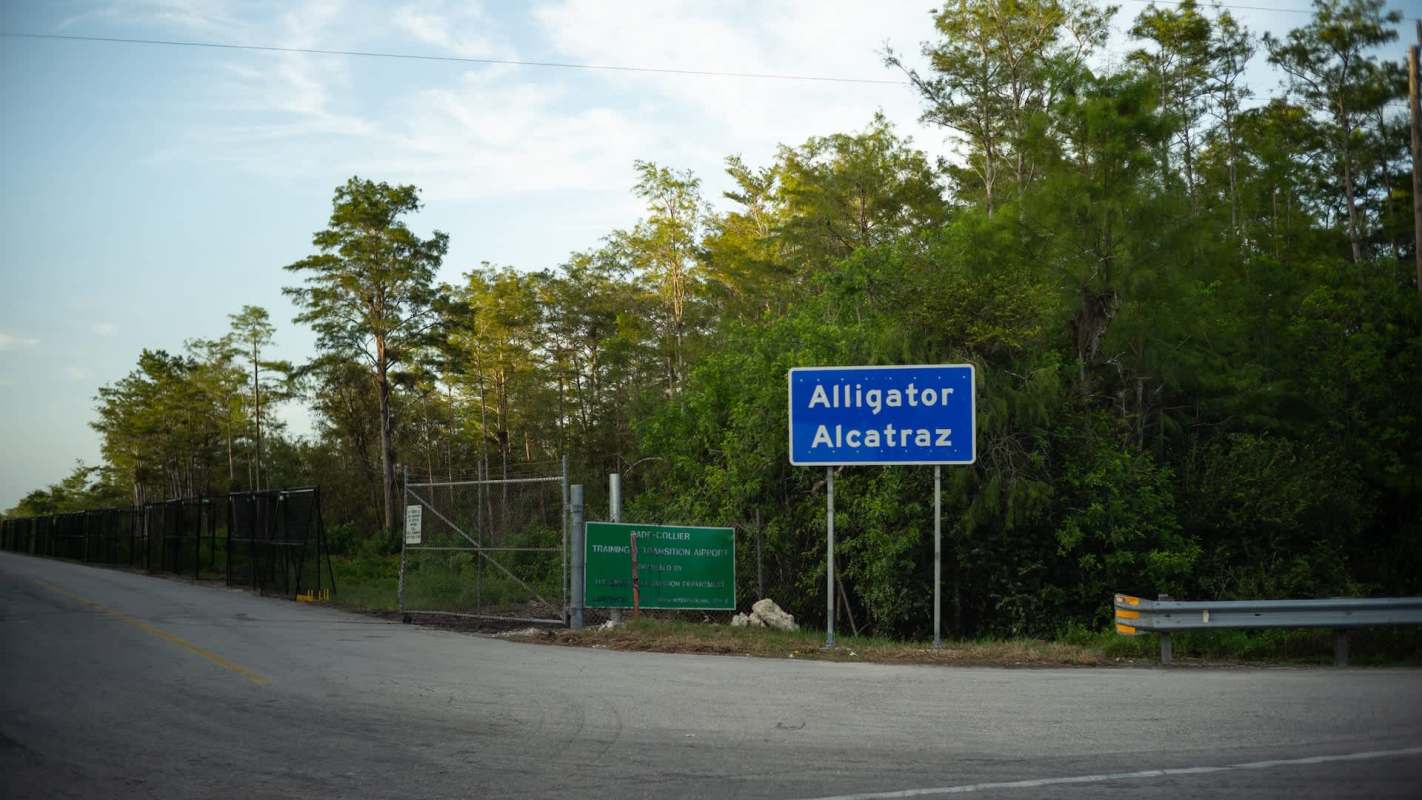 A road sign reads "Alligator Alcatraz" next to a fenced area surrounded by greenery.