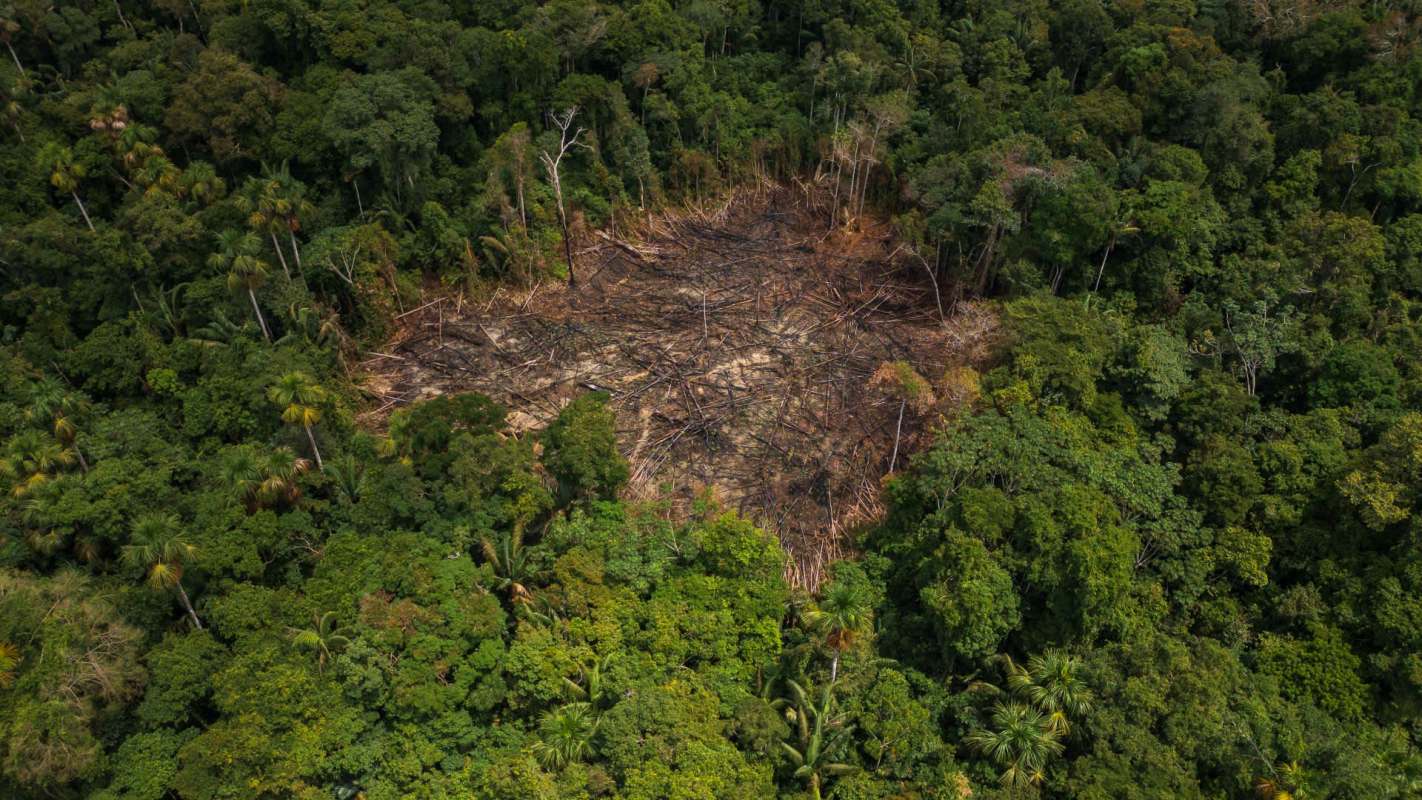 Aerial view of deforested land surrounded by dense, green tropical rainforest.