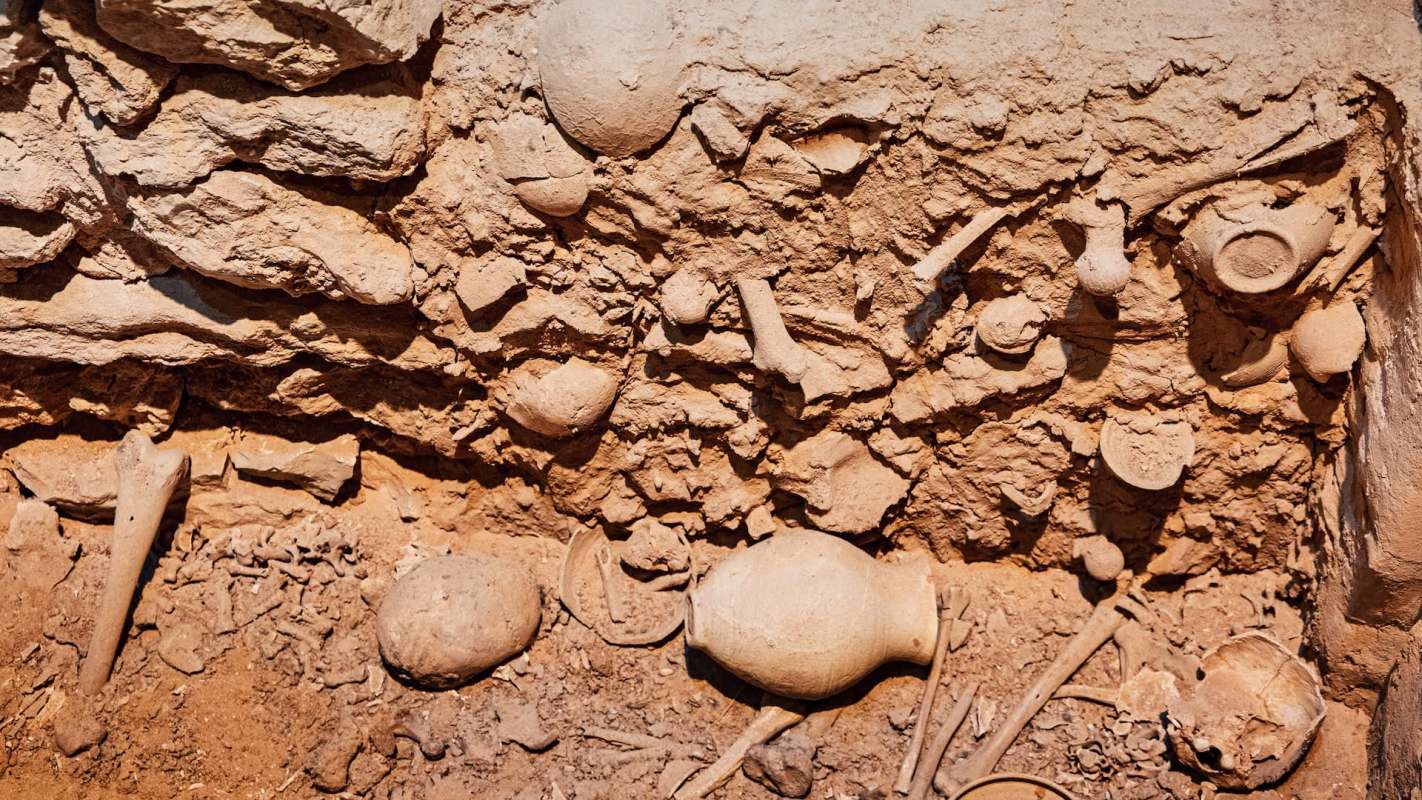 An archaeological excavation site featuring various pottery shards and animal bones in earthy soil.