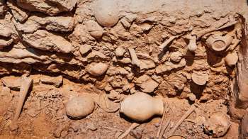 An archaeological excavation site featuring various pottery shards and animal bones in earthy soil.