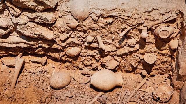 An archaeological excavation site featuring various pottery shards and animal bones in earthy soil.