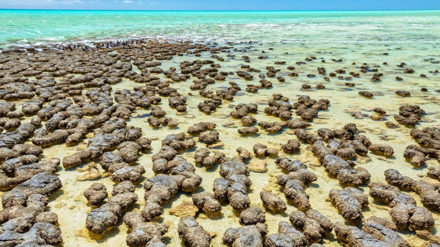 Rocky formations are scattered across a shallow turquoise sea, creating a unique coastal landscape.