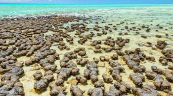 Rocky formations are scattered across a shallow turquoise sea, creating a unique coastal landscape.