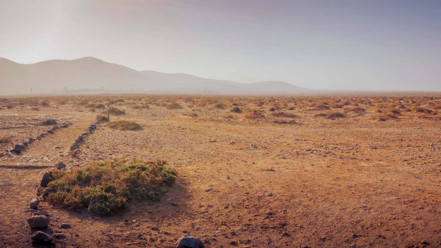 A vast, arid landscape featuring sparse vegetation and distant mountains under a clear sky.