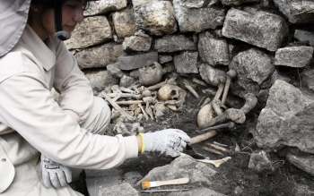 An archaeologist carefully excavates human bones from a stone structure at a dig site.