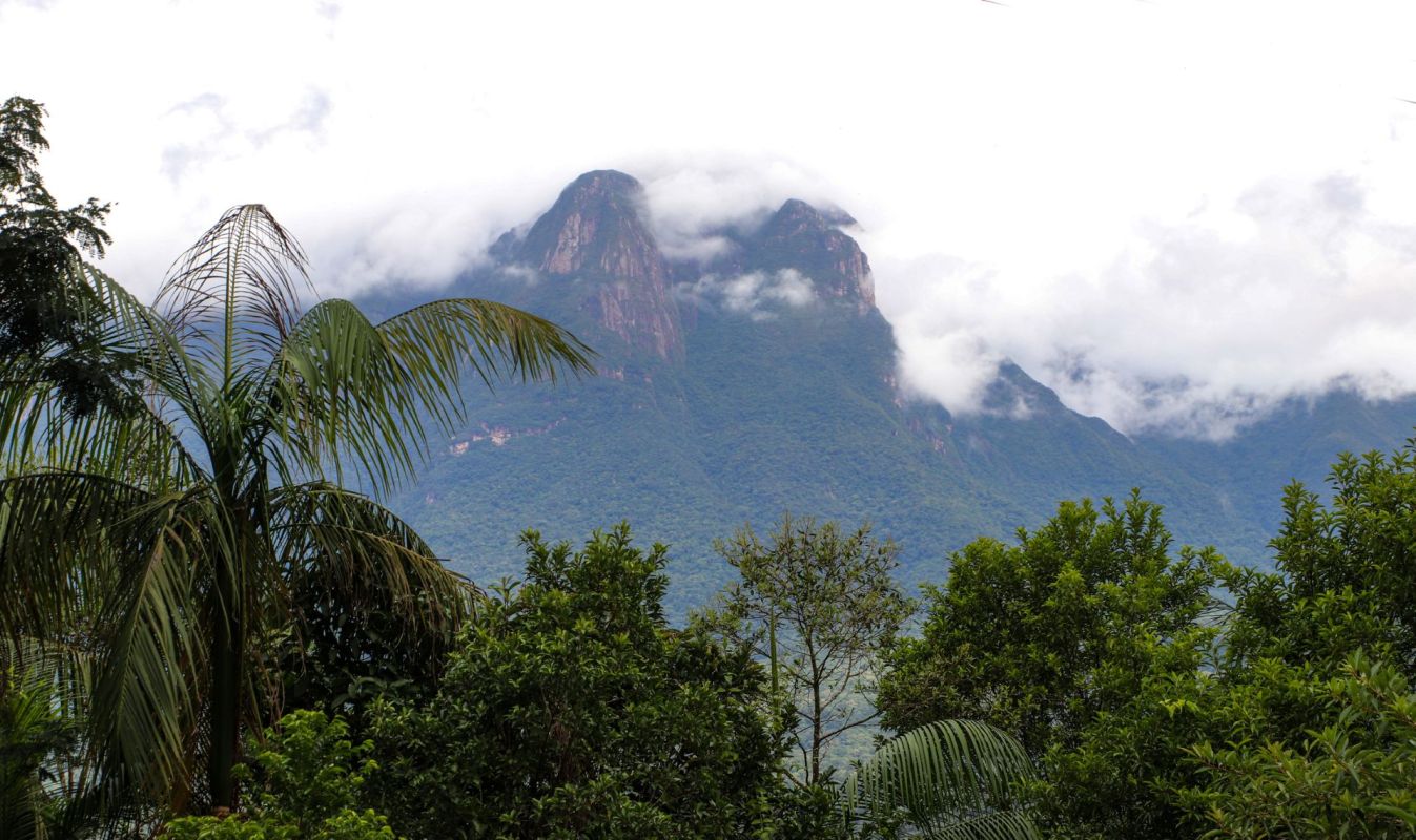 Lush greenery surrounds towering mountains partially obscured by clouds in a scenic landscape.